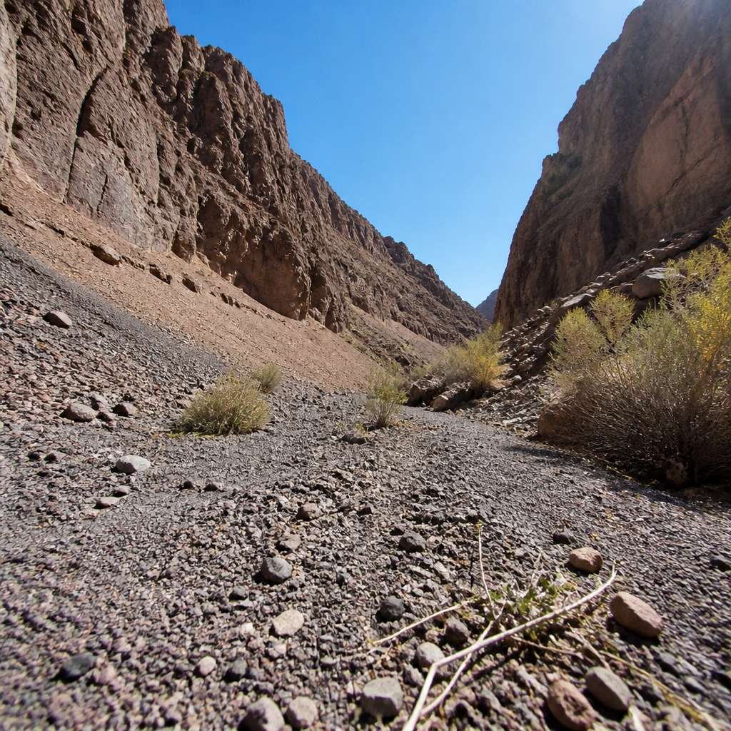 Wide shot of a narrow canyon floor with loose scree and scrub, no people present.